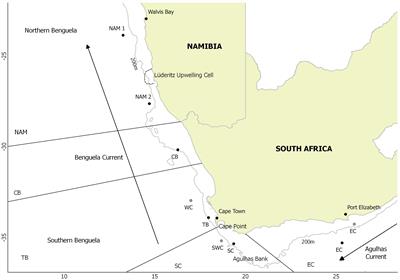 Supporting Fisheries Management With Genomic Tools: A Case Study of Kingklip (Genypterus capensis) Off Southern Africa